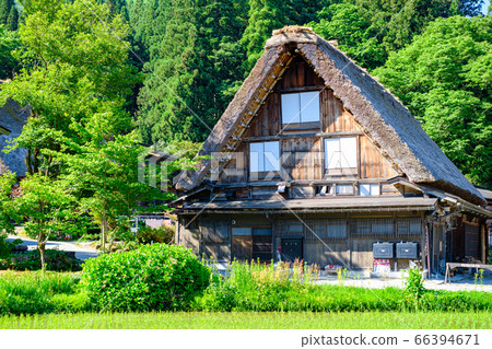 Shirakawa-go in the early summer (morning) 66394671
