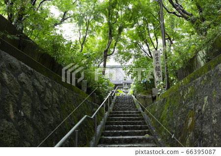 Raikoji Temple, famous for hydrangea 66395087