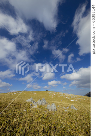 冬季四國喀斯特(愛知縣,高知縣) 冬季四國喀斯特(愛知縣,高知縣) 66395144