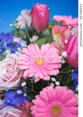 花籃 花籃 66396645