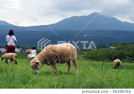 高千穗牧場 66396768