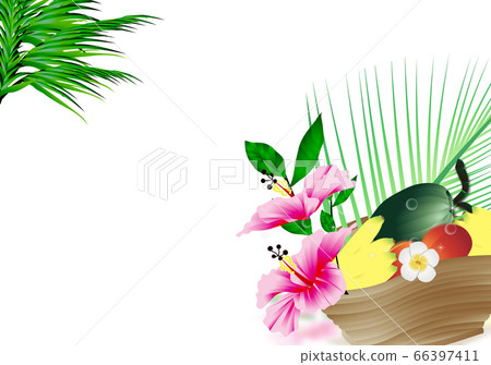 芙蓉和夏季水果籃插畫背景素材 芙蓉和夏季水果籃插畫背景素材 66397411