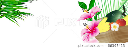 Hibiscus and summer fruit basket illustration banner material 66397413