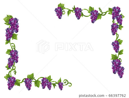 Watercolor cute grape frame 66397762