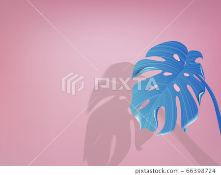 Minimalist pastel blue split leaf Philodendron on blue background with shadow 66398724