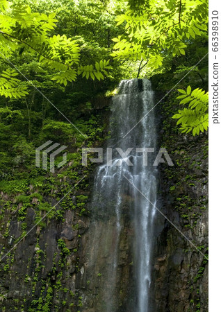 The famous waterfall with a drop of about 63m, the largest waterfall in Yamagata Prefecture, Tamadare Waterfall [upper part] 66398910