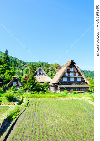 初夏的白川鄉（早晨） 66398980