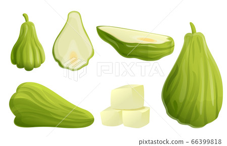 Chayote icons set, cartoon style Chayote icons set, cartoon style 66399818