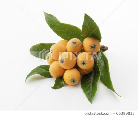 Loquat 66399835