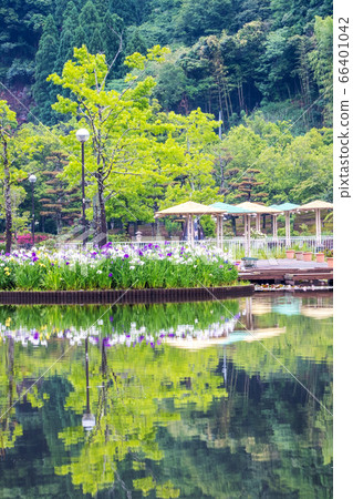 多哥池塘A池公園初夏風光 多哥池塘A池公園初夏風光 66401042
