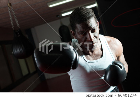 Potrait of african american boxer who is training in gym Potrait of african american boxer who is training in gym 66401274