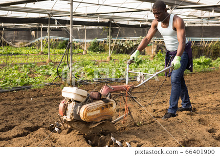 African man plowing ground with cultivator African man plowing ground with cultivator 66401900