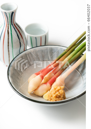 Yanaka姜 66402037