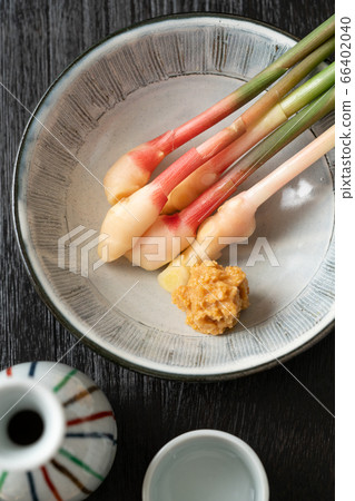 Yanaka ginger 66402040