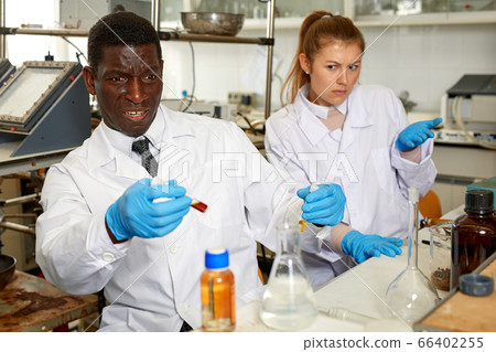 Male scientist with test tubes checking for result of chemical experiment Male scientist with test tubes checking for result of chemical experiment 66402255