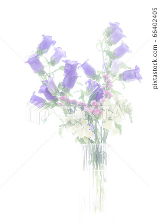 插花軟焦點 66402405