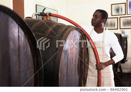 male winegrower working in wine cellar male winegrower working in wine cellar 66402901