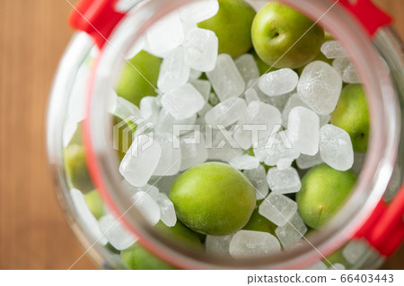 自製李子糖漿 66403443