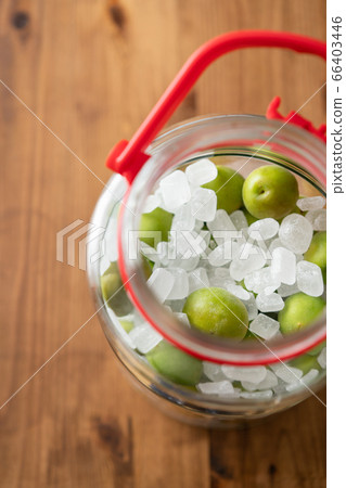 自製李子糖漿 自製李子糖漿 66403446