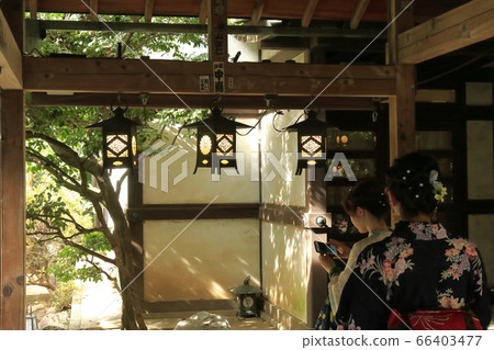 參觀神社和寺廟 66403477