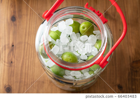 Make homemade plum syrup Make homemade plum syrup 66403483