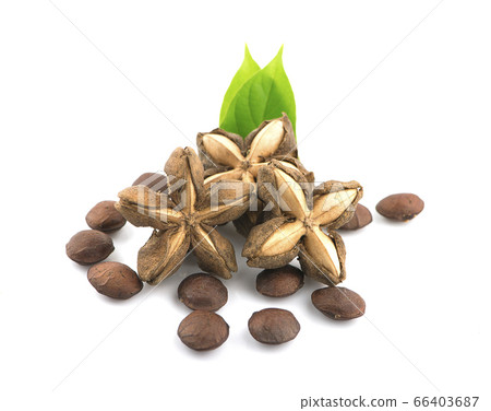 Nuts Incas , sacha inchi peanut seed an isolated on white background 66403687