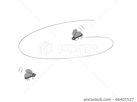 飛蠅圖 飛蠅圖 66405527