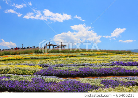 Matsumoto no Hana Festa 2006: Colored paper woven by flowers and plants 2006 66406235