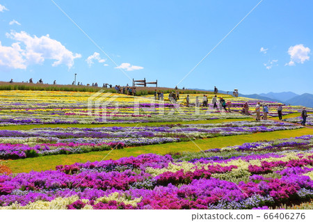 松本之花節2006:用花草編織的彩色紙2006 松本之花節2006:用花草編織的彩色紙2006 66406276