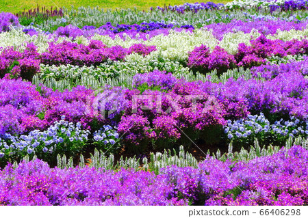 松本之花節2006：用花草編織的彩色紙2006 66406298