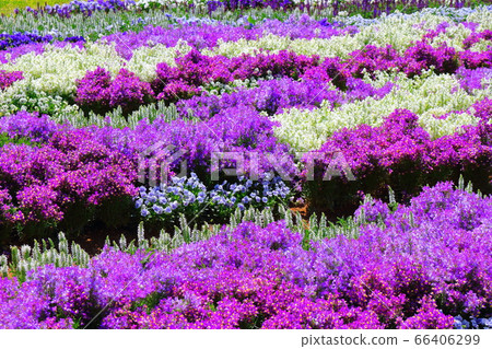 松本之花節2006:用花草編織的彩色紙2006 松本之花節2006:用花草編織的彩色紙2006 66406299