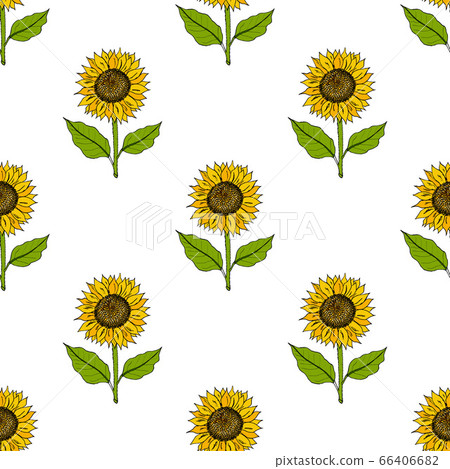 Seamless pattern with yellow hand drawn sunflowers - Stock Illustration ...
