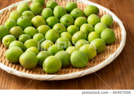 青梅收穫 66407006