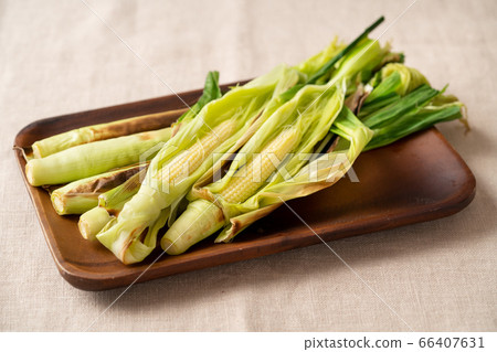 與皮革的年輕玉米 66407631