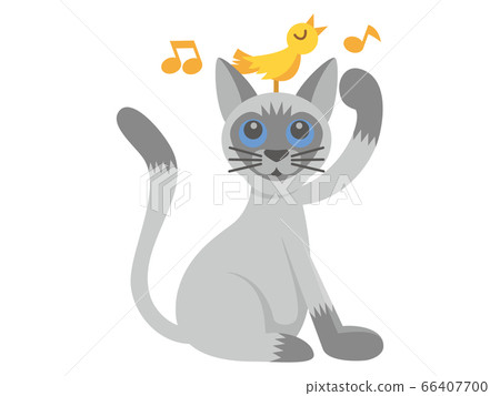 Cat cat siamese cat siamese cat animal illustration 66407700