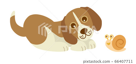 Dog dog dog beagle beagle dog pet animal illustration Dog dog dog beagle beagle dog pet animal illustration 66407711