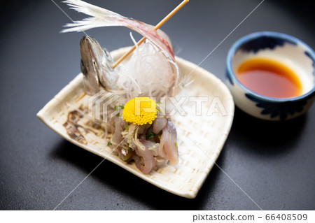 Horse mackerel sashimi Horse mackerel sashimi 66408509