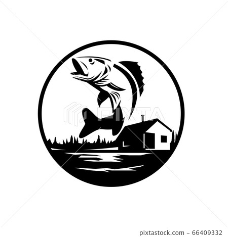 Walleye Fish Jumping on Lake With Lodge Cabin Walleye Fish Jumping on Lake With Lodge Cabin 66409332