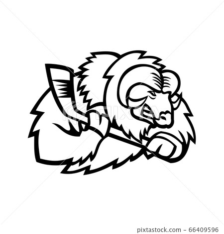 Musk Ox Ice Hockey Player Mascot Black and White Musk Ox Ice Hockey Player Mascot Black and White 66409596