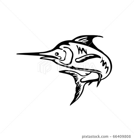 Blue Marlin Fish Jumping Up Black and White Retro 66409808