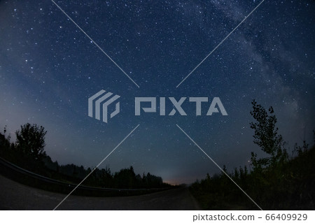 Landscape of nightly sky with stars and trees Landscape of nightly sky with stars and trees 66409929