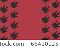 Big beautiful green leaves of marijuana close up 66410125