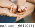 Cute little baby feet in the arms 66410131
