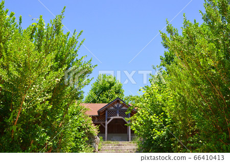 鶴見綠地公園（大阪）的樹木，藍天和小屋 66410413