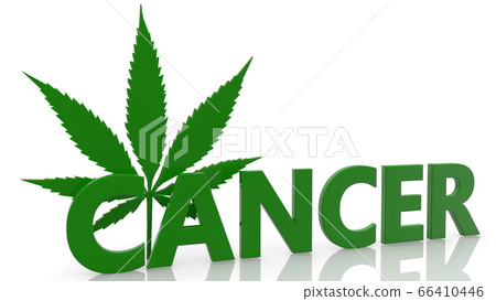 Cancer with Cannabis leaf concept Cancer with Cannabis leaf concept 66410446