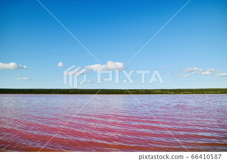 [Australia] Hat Lagoon (Pink Lake) 66410587