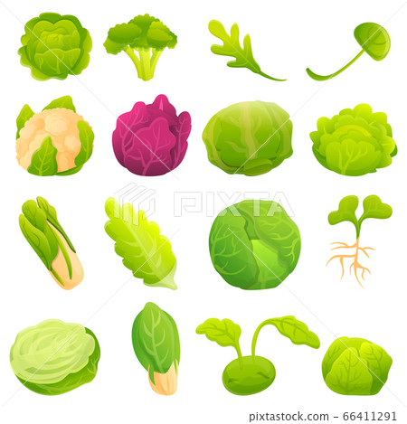 Cabbage icons set, cartoon style Cabbage icons set, cartoon style 66411291