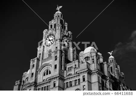 Royal Liver Building in monochrome Royal Liver Building in monochrome 66411688