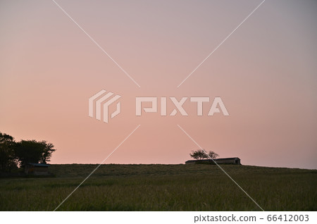 Kimura Farm Kimura Farm 66412003