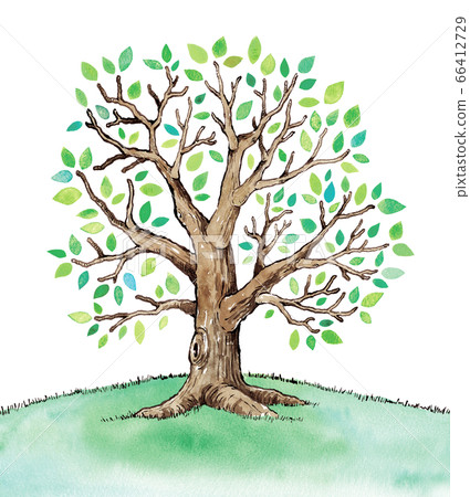 綠葉樹圖 綠葉樹圖 66412729